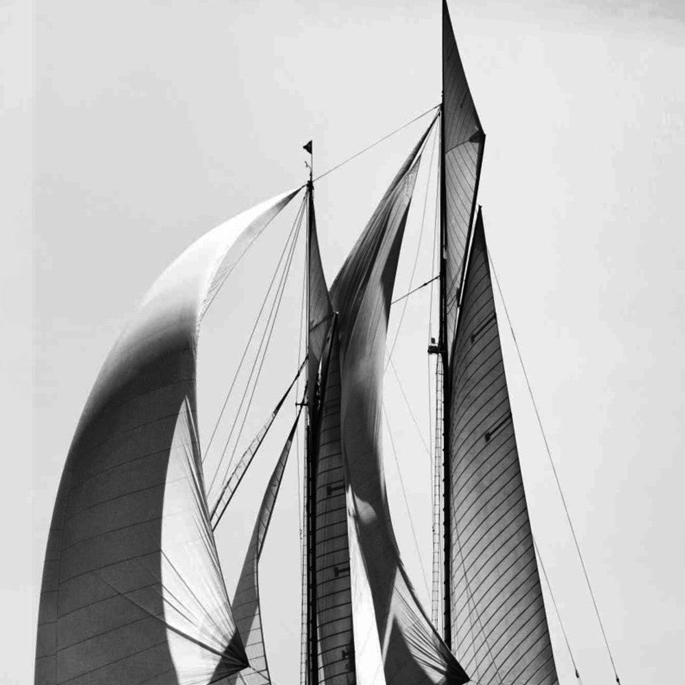 HomeRoots 35" Black and White Sailboat Giclee Wrap Canvas Wall Art