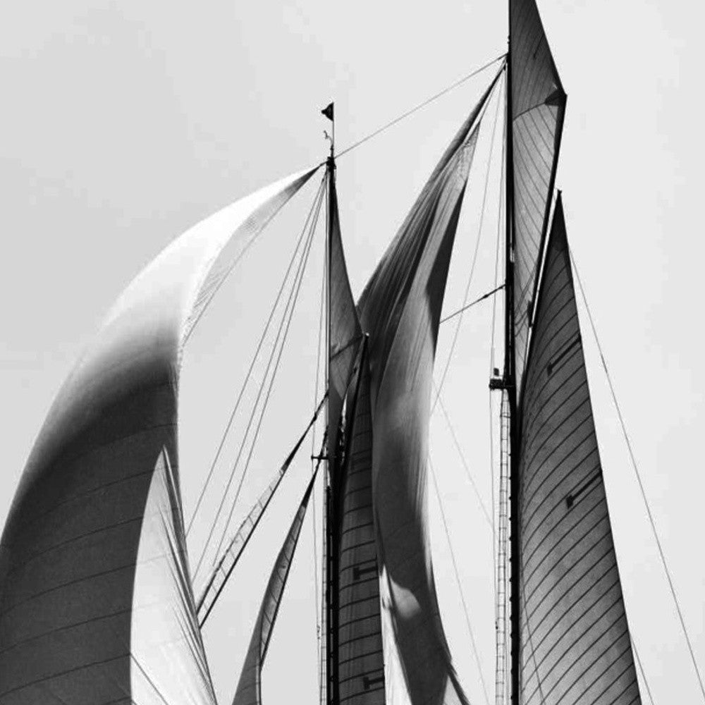 HomeRoots 35" Black and White Sailboat Giclee Wrap Canvas Wall Art