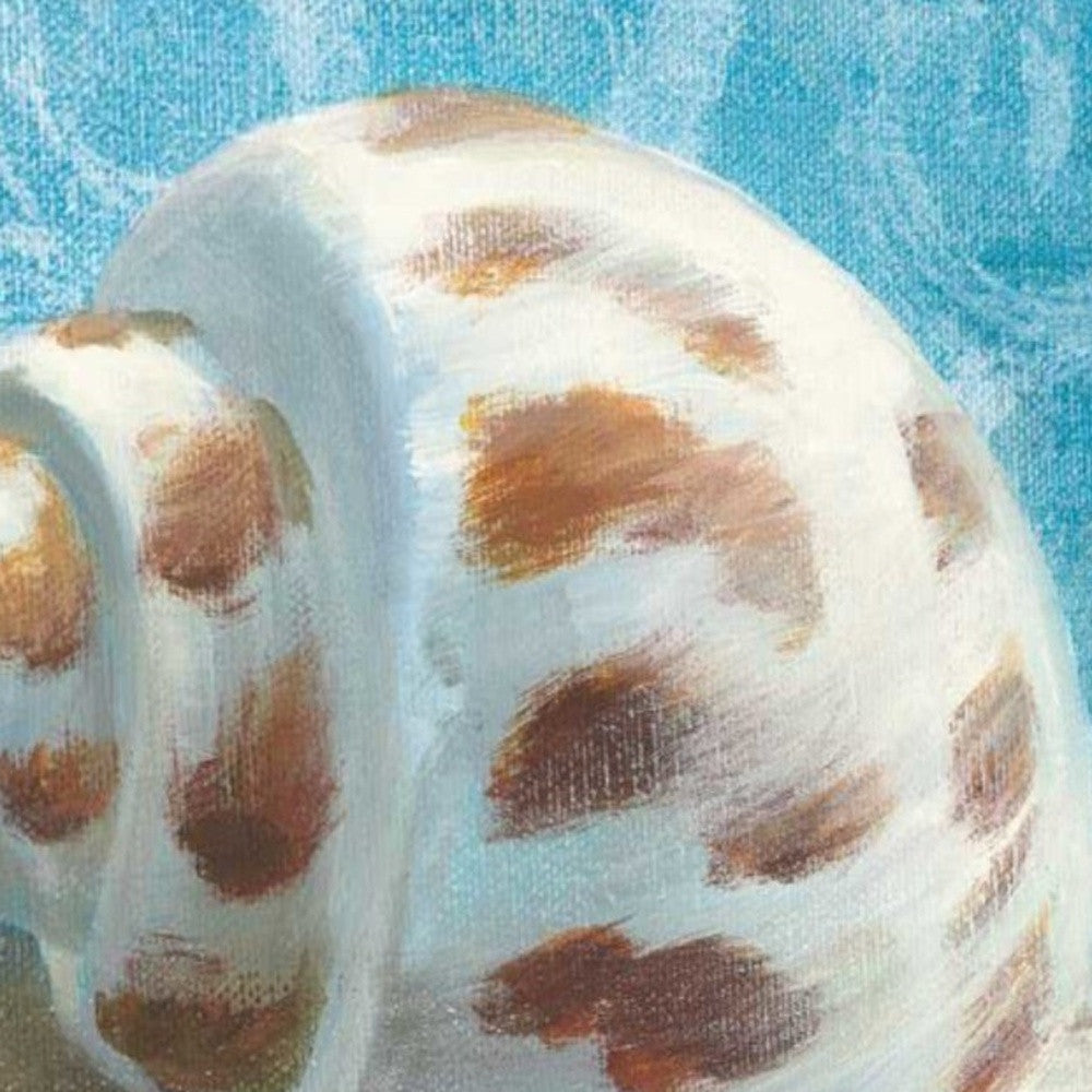 HomeRoots 35" Mod Blue Scroll Coastal Conch 2 Giclee Wrap Canvas Wall Art