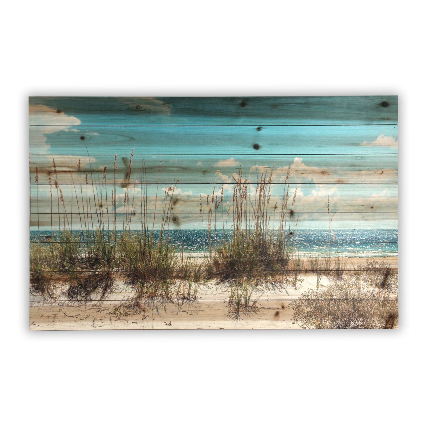 HomeRoots 36" Ocean Sand Dunes Wood Plank Wall Art
