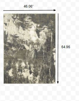 HomeRoots 4' x 6' Gray and Ivory Abstract Area Rug