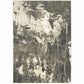 HomeRoots 4' x 6' Gray and Ivory Abstract Area Rug