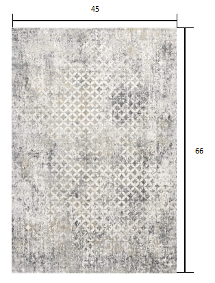 HomeRoots 4' x 6' Gray and Ivory Distressed Area Rug