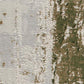 HomeRoots 4' x 6' Green and Ivory Distressed Area Rug