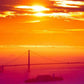 HomeRoots 40" Gorgeous Sunset View Giclee Canvas Wall Art