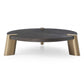 HomeRoots 48 x 48 x 13 Wenge Veneer Stainless Steel Coffee Table
