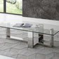 HomeRoots 59 x 28 x 16 Clear Glass Coffee Table