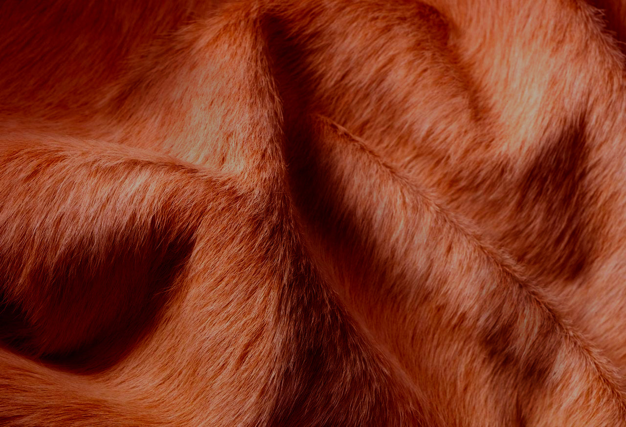 HomeRoots 60" x 84" Cowhide Area Rug in Brown Finish