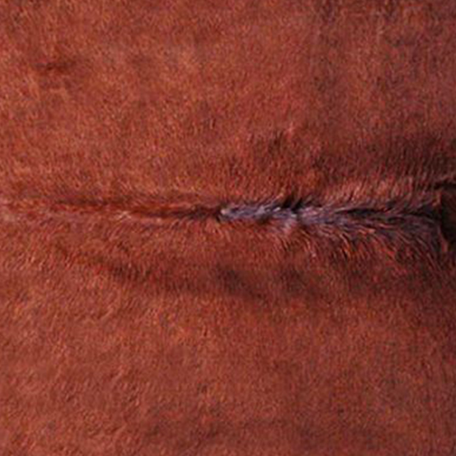 HomeRoots 60" x 84" Cowhide Area Rug in Brown Finish