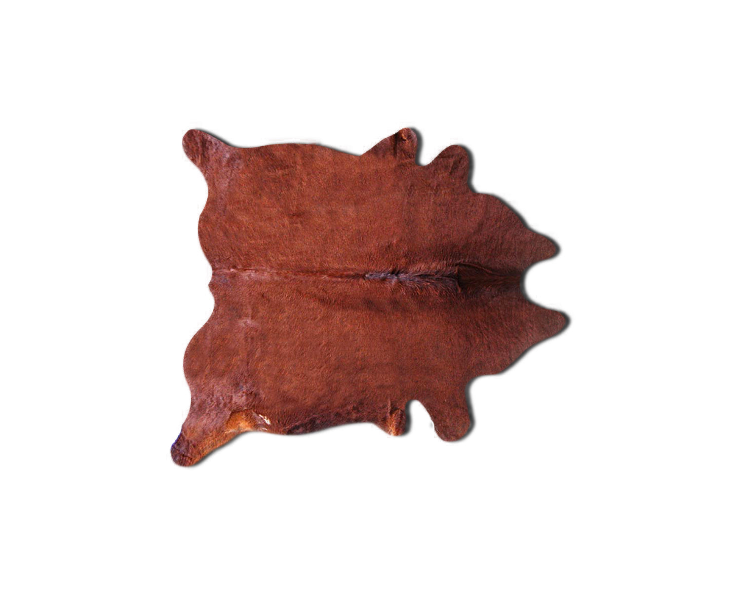 HomeRoots 60" x 84" Cowhide Area Rug in Brown Finish