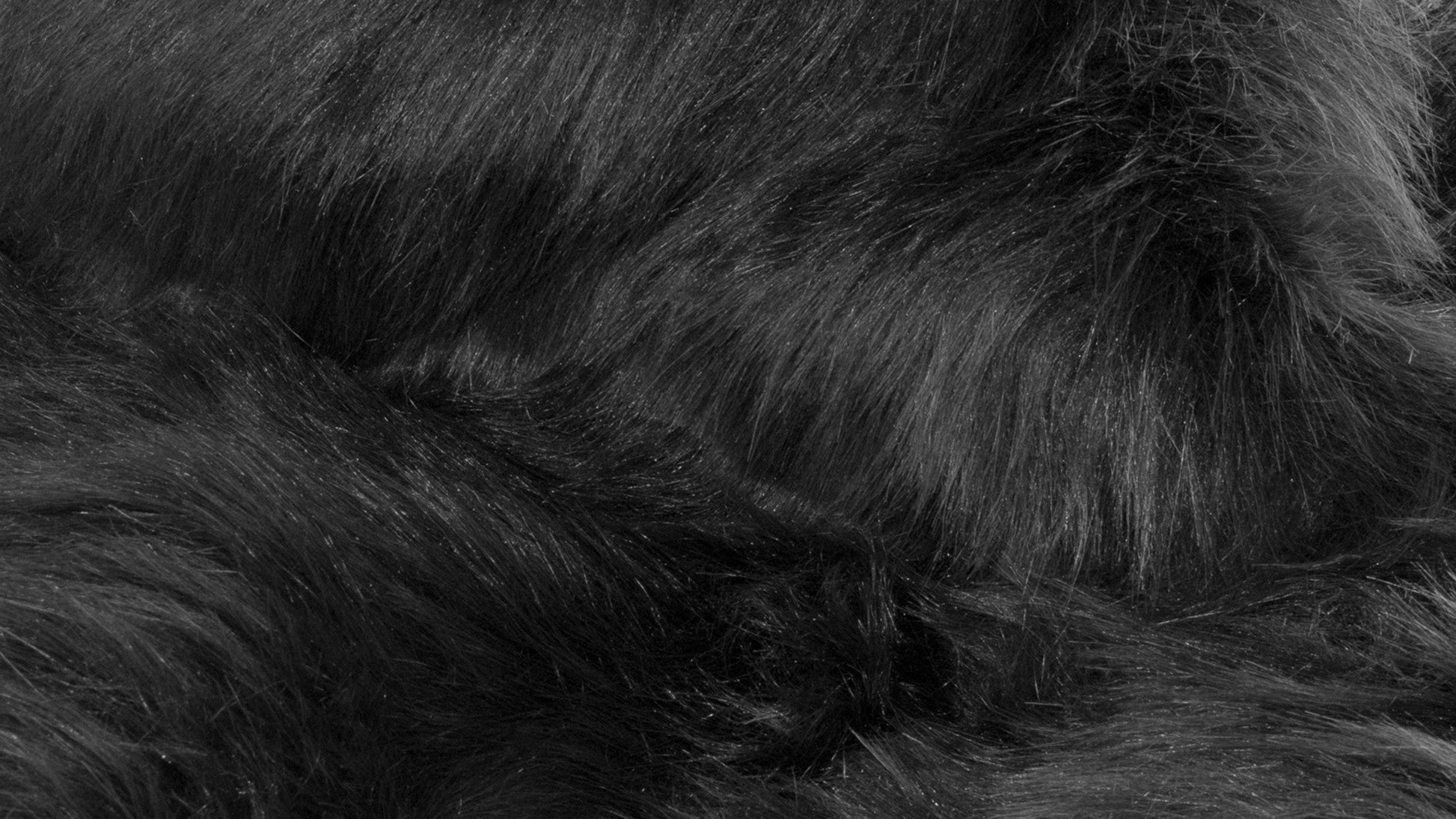 HomeRoots 60" x 96" Sheepskin Rug or Throw in Black Finish