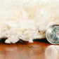 HomeRoots 7' x 9' Polypropylene Ivory or Grey Area Rug