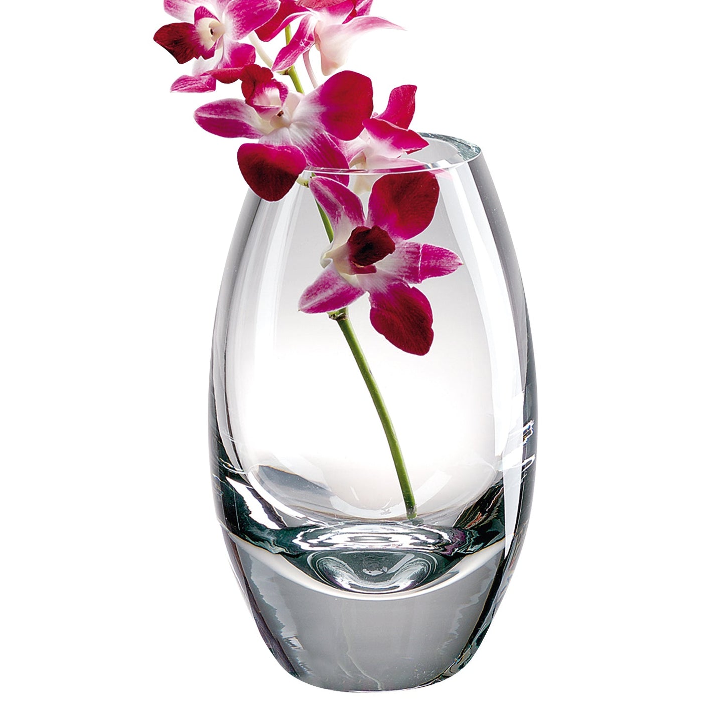 HomeRoots 9 Mouth Blown Crystal European Made Vase