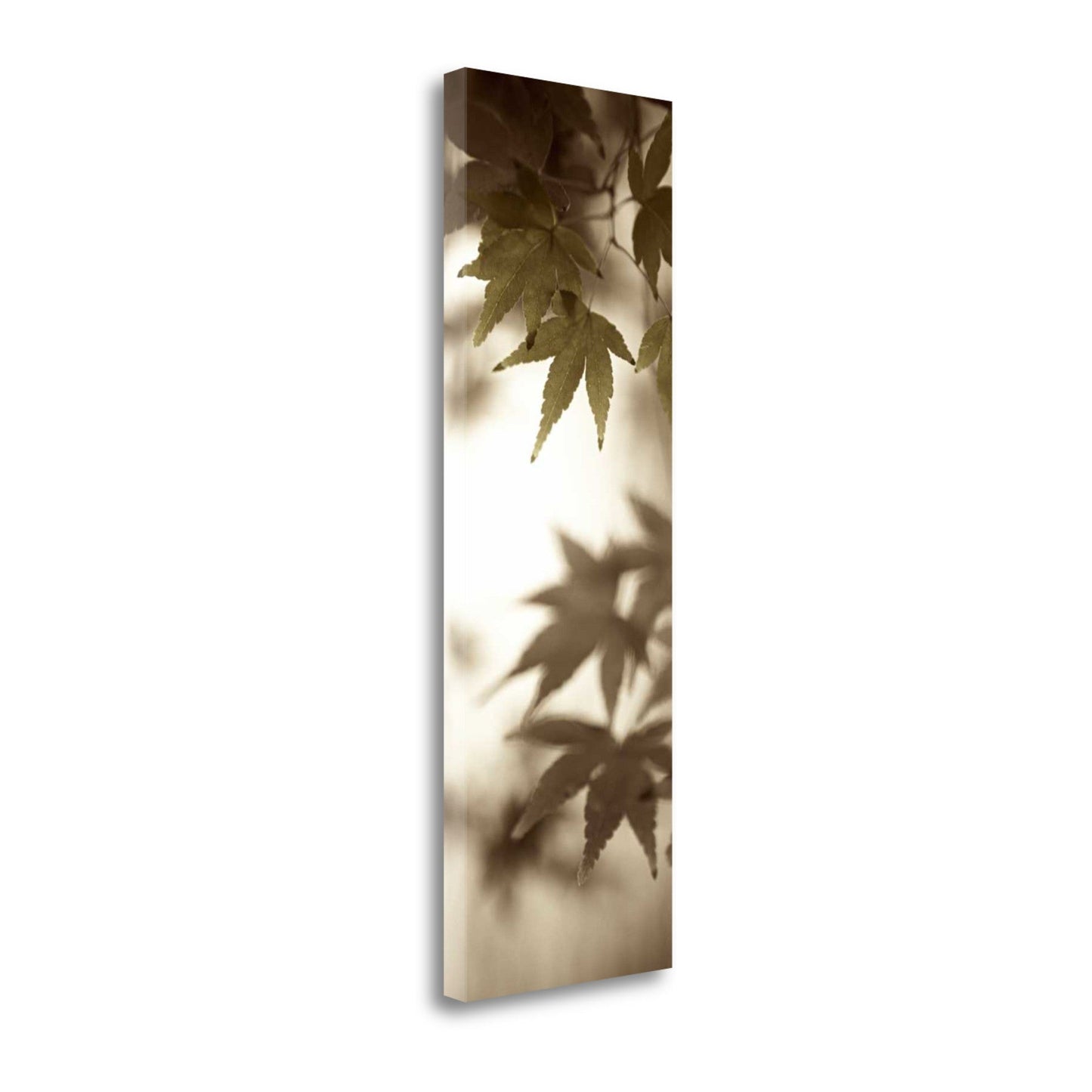 HomeRoots 97" Focused Forest Leaves 1 Giclee Wrap Canvas Wall Art