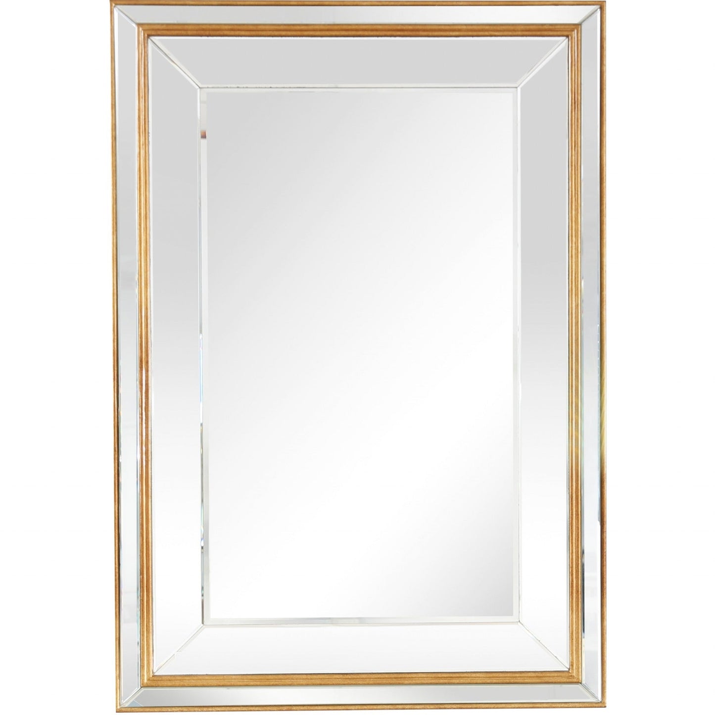 HomeRoots Antiqued Mirror and Console Table in Gold Finish