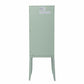 HomeRoots Crosshatch Accent Storage Cabinet in Pale Green Finish