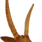HomeRoots Elk Head Traditional Teak Root Wall Décor