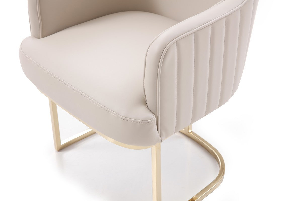 HomeRoots Gold Modern Dining Chair in Gray Finish