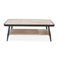 HomeRoots Industrial Style Distressed Whitewash and Gray Coffee Table