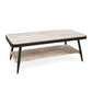 HomeRoots Industrial Style Distressed Whitewash and Gray Coffee Table