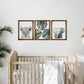 HomeRoots Jungle Safari Modern Wall Art Set
