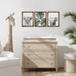 HomeRoots Jungle Safari Modern Wall Art Set