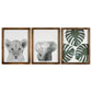 HomeRoots Jungle Safari Modern Wall Art Set