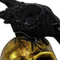 HomeRoots LED Gold Skull and Black Crow Sculpture