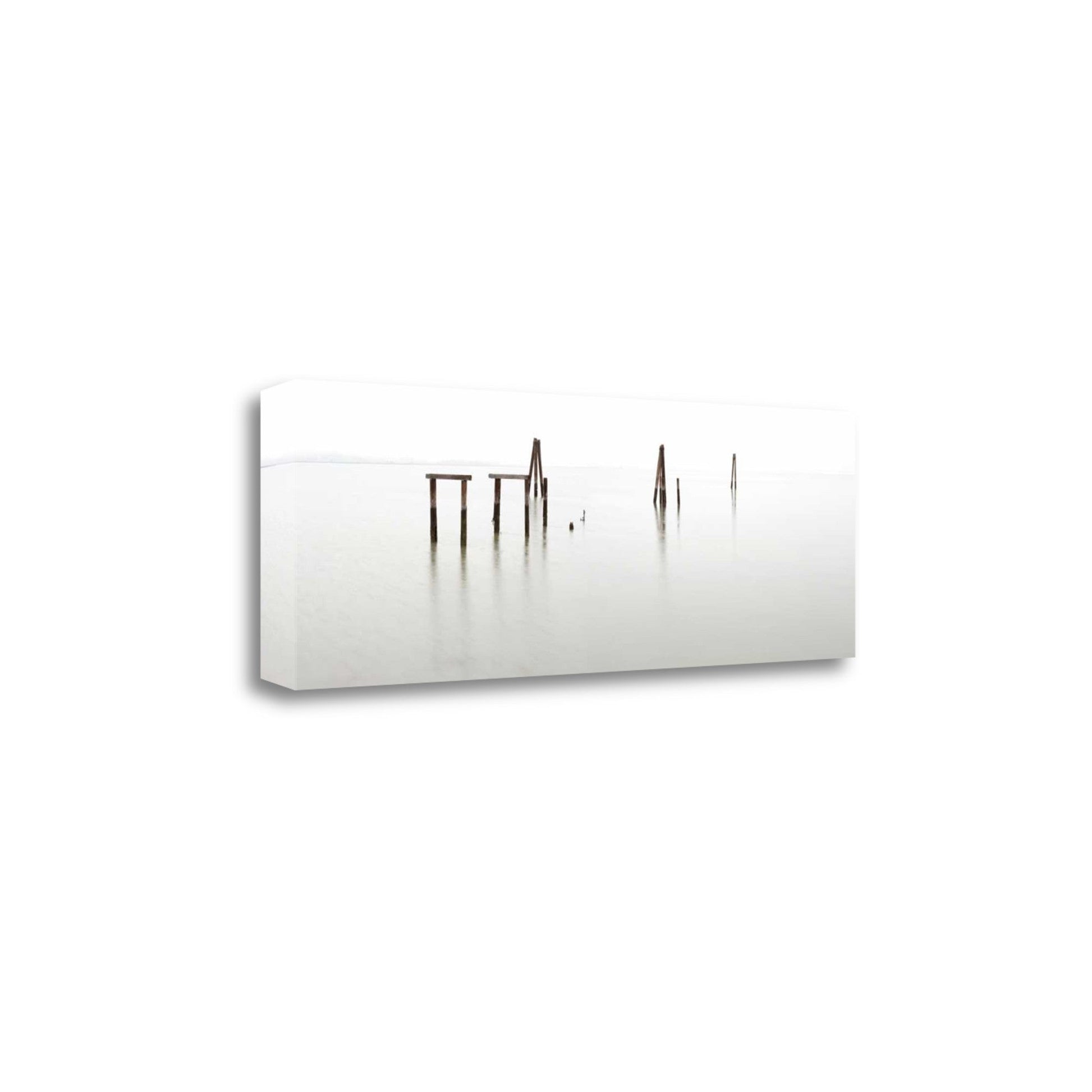 HomeRoots Leftovers of the Pier 3 Giclee Wrap Canvas Wall Art