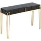 HomeRoots Mirrored Console Table in Black Finish