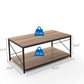 HomeRoots Mod Walnut and Black Coffee Table with Shelf