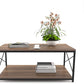 HomeRoots Mod Walnut and Black Coffee Table with Shelf