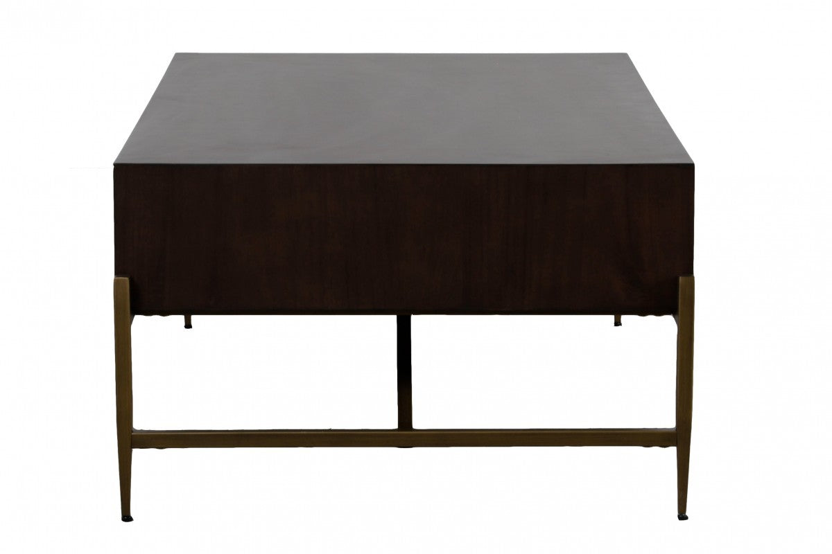 HomeRoots Modern Dark Mango Acacia and Brass Coffee Table