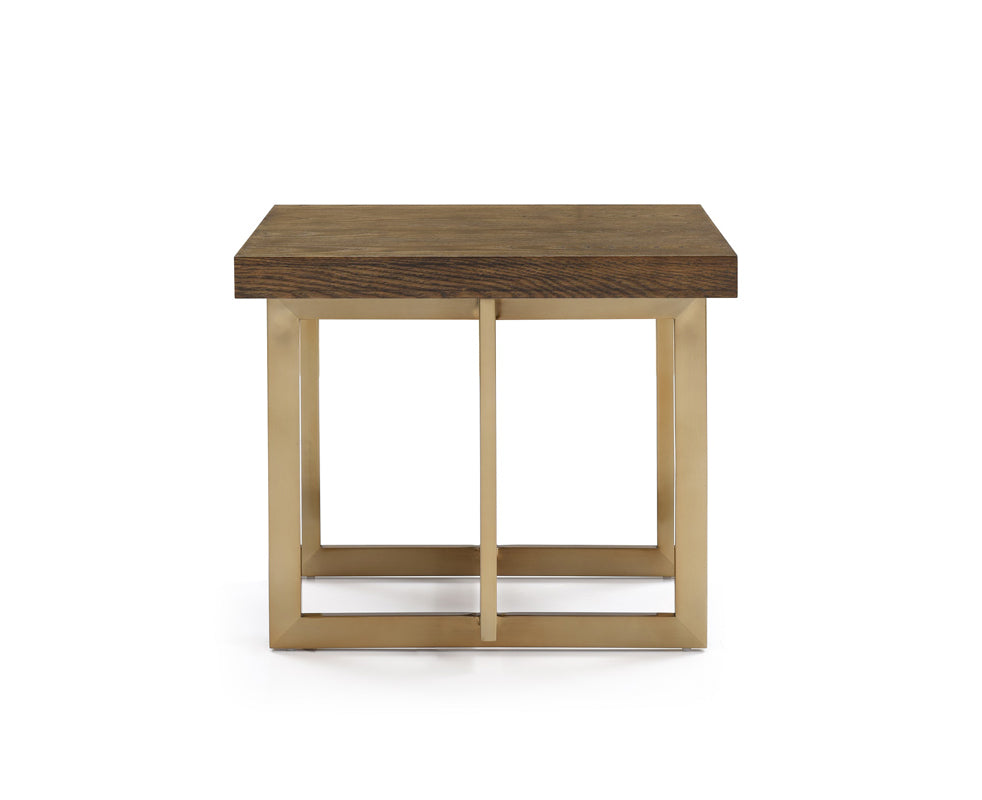HomeRoots Modrest Pike Modern Elm & Antique Brass End Table