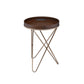 HomeRoots Pearlescent Gold and Dark Brown USB Side Table with Sectioned Top