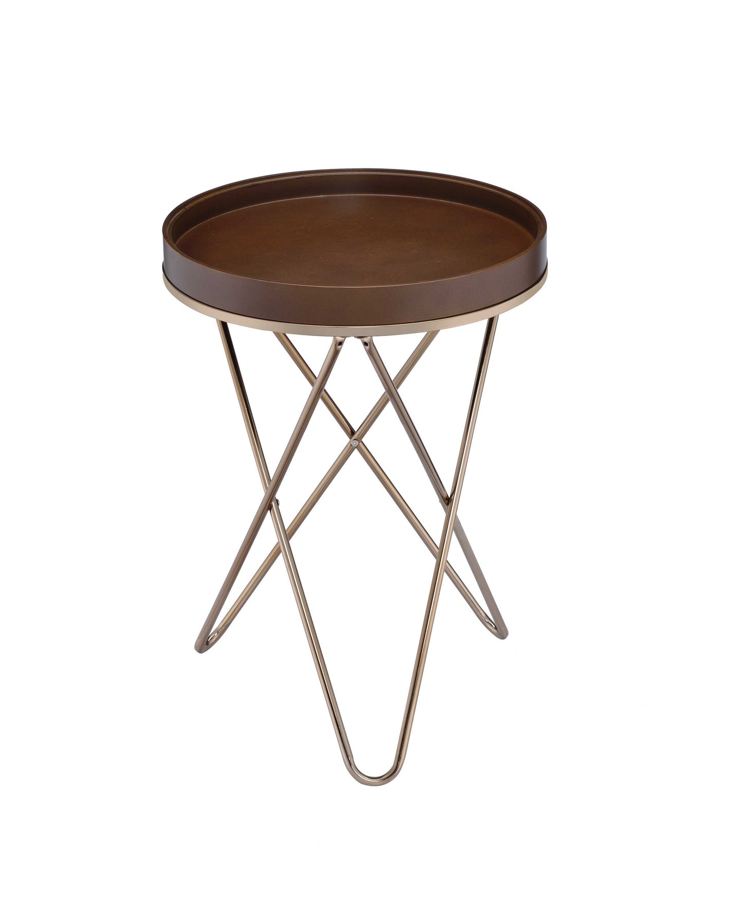 HomeRoots Pearlescent USB Side Table With Gold and Dark Brown Finish