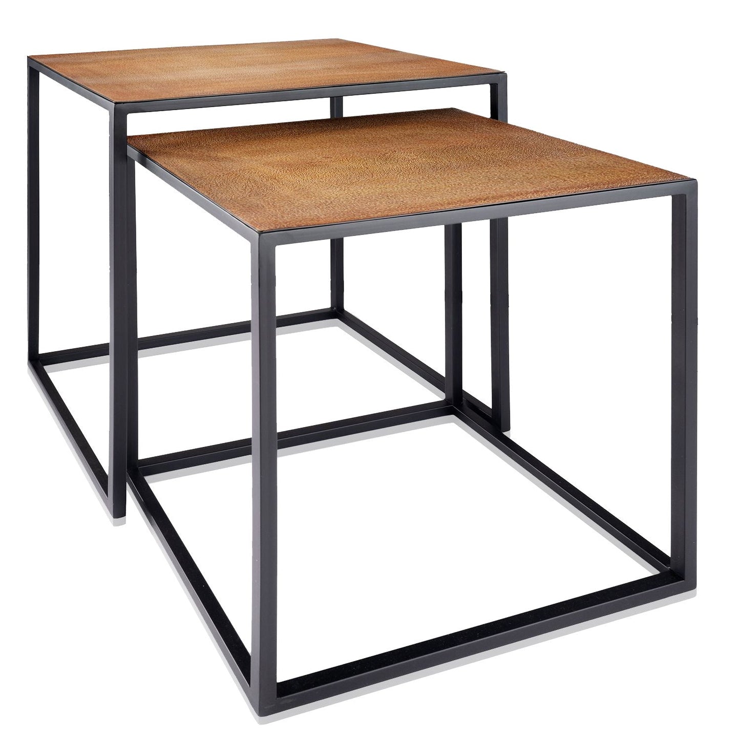 HomeRoots Rectangular Black Powder Coated Frame and Lion Faux Leather Top Nesting End Tables in Set Of 2