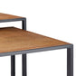 HomeRoots Rectangular Black Powder Coated Frame and Lion Faux Leather Top Nesting End Tables in Set Of 2