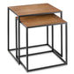 HomeRoots Rectangular Black Powder Coated Frame and Lion Faux Leather Top Nesting End Tables in Set Of 2