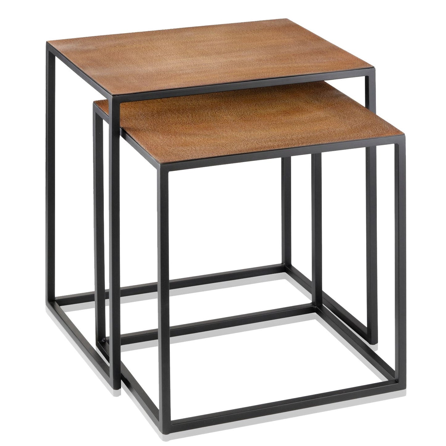 HomeRoots Rectangular Black Powder Coated Frame and Lion Faux Leather Top Nesting End Tables in Set Of 2