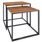 HomeRoots Rectangular Black Powder Coated Frame and Rattlesnake Faux Leather Top Nesting End Tables in Set Of 2