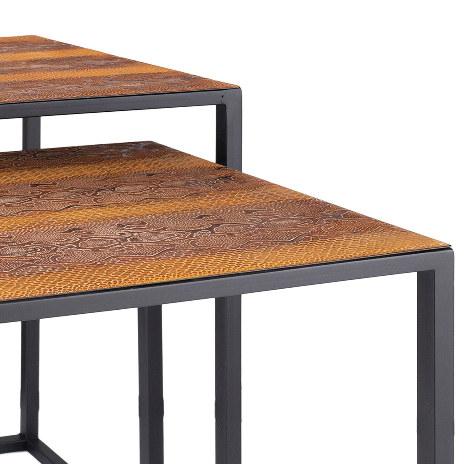 HomeRoots Rectangular Black Powder Coated Frame and Rattlesnake Faux Leather Top Nesting End Tables in Set Of 2