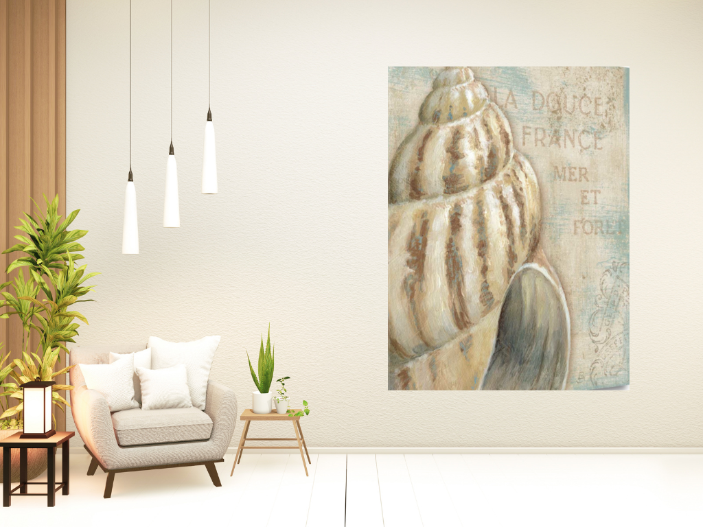 HomeRoots Rustic French Seashell 1 Giclee Wrap Canvas Wall Art