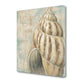HomeRoots Rustic French Seashell 1 Giclee Wrap Canvas Wall Art