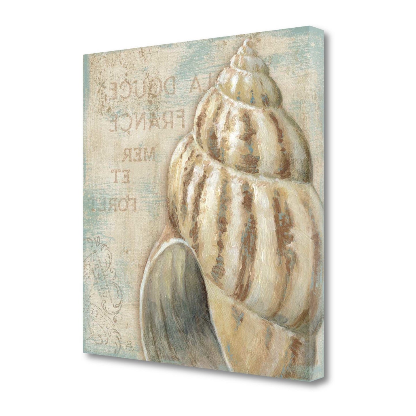 HomeRoots Rustic French Seashell 1 Giclee Wrap Canvas Wall Art