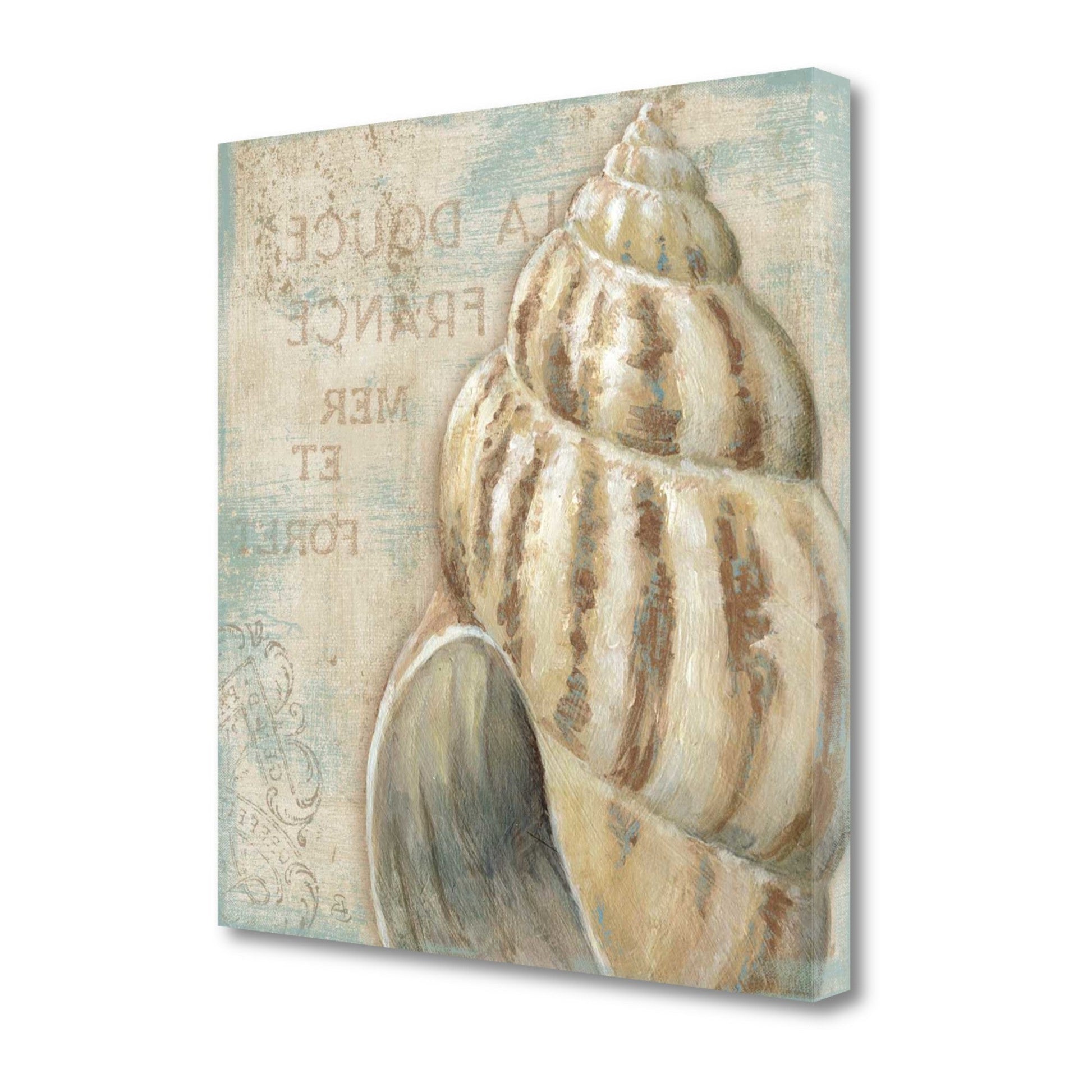 HomeRoots Rustic French Seashell 1 Giclee Wrap Canvas Wall Art