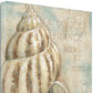 HomeRoots Rustic French Seashell 1 Giclee Wrap Canvas Wall Art