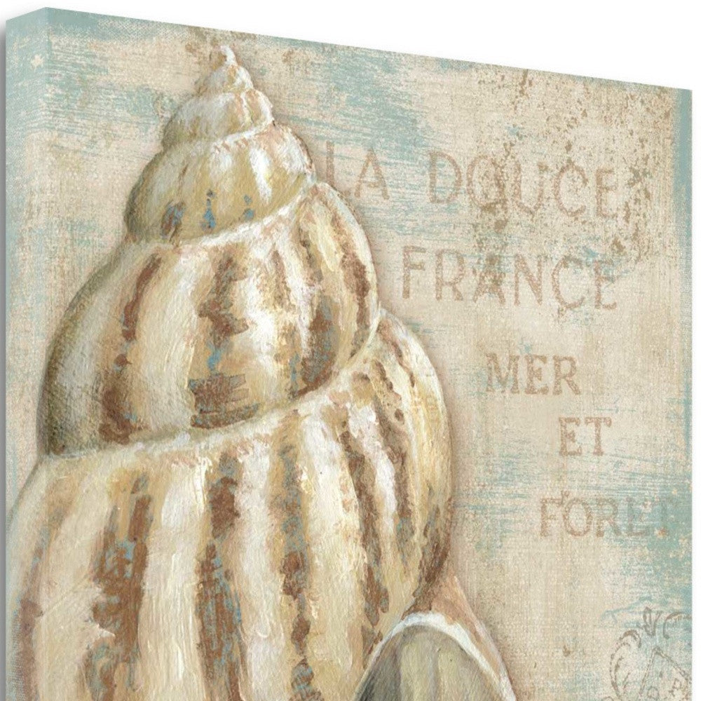 HomeRoots Rustic French Seashell 1 Giclee Wrap Canvas Wall Art