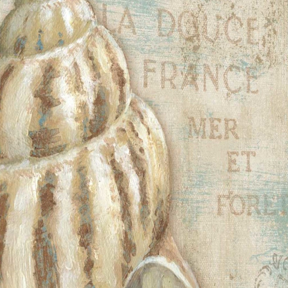 HomeRoots Rustic French Seashell 1 Giclee Wrap Canvas Wall Art