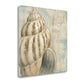 HomeRoots Rustic French Seashell 1 Giclee Wrap Canvas Wall Art